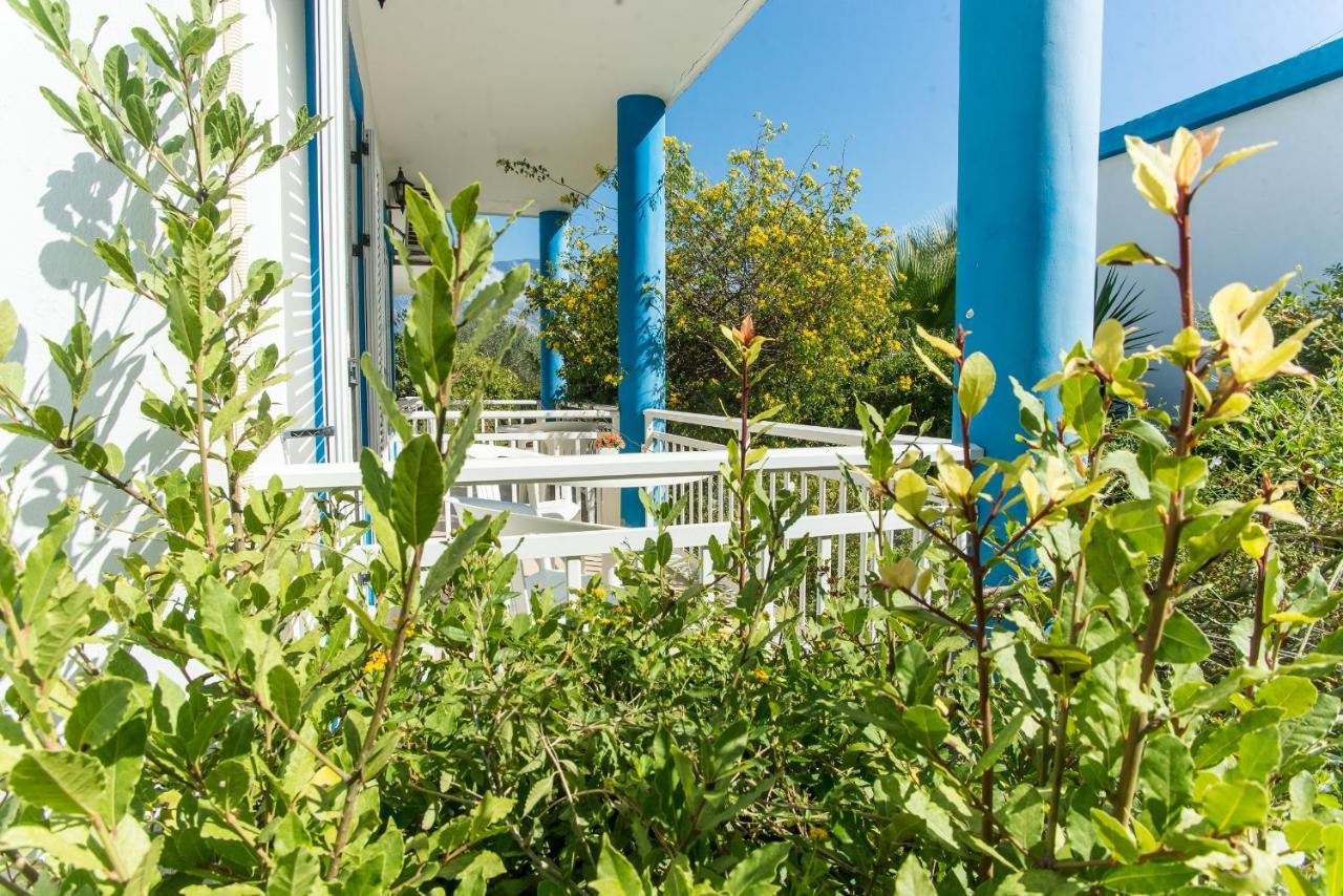 Blue White Apartments - Kefallonia Poolside Retreats スパルティア エクステリア 写真